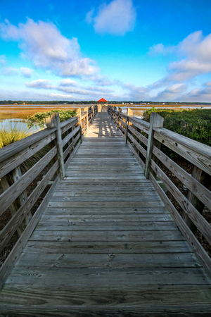A wooden bridge leading to swamp landの写真素材
