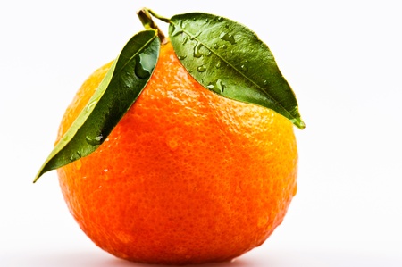 overripe wet tangerine on a white backgroundの写真素材