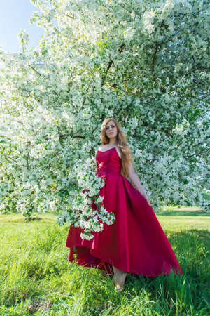 fashionable woman in red dress with flowering treeの写真素材