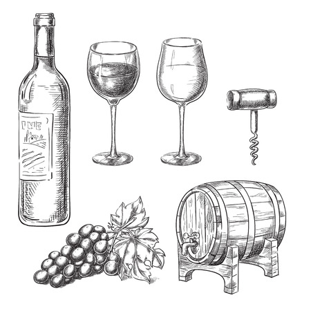 Wine sketch vector illustration.のイラスト素材