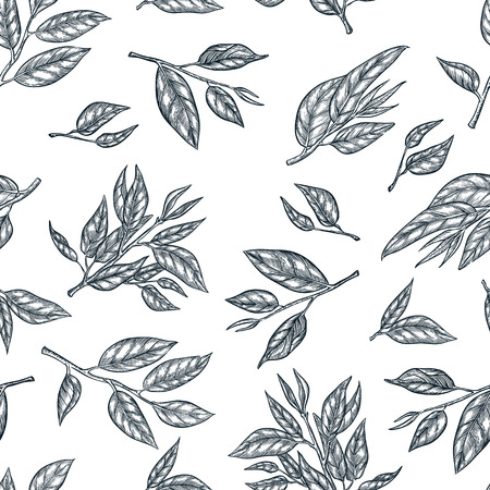 Green tea seamless pattern. Sketch hand drawn illustration of leaves and branches. Fashion textile print or background design.のイラスト素材