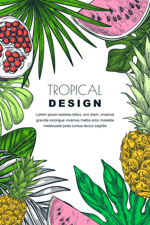 Poster, banner or greeting card frame with tropical palm leaves, pineapple, watermelon and pomegranate. Vector hand drawn sketch illustration of exotic plants and fruits.のイラスト素材
