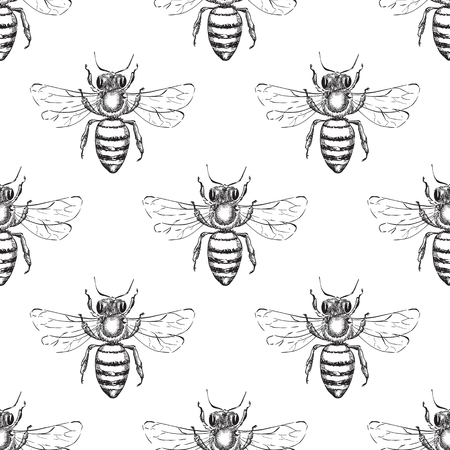 Bee seamless vector pattern. Sketch hand drawn illustration of honeybee. Fashion textile print or honey packaging background design.のイラスト素材