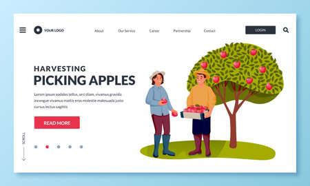 Fall harvesting and agriculture farming concept. Happy young man and woman picking ripe red apples into basket in fruit garden. Vector flat cartoon people characters illustrationのイラスト素材