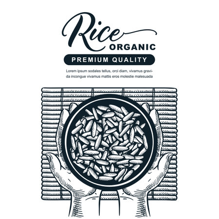 Rice package, label, banner design template. Bowl with boiled rice on bamboo mat in human hands. Vector hand drawn sketch illustration of asian traditional healthy foodのイラスト素材