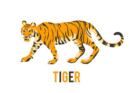 Red tiger. Vector isolated animal.のイラスト素材