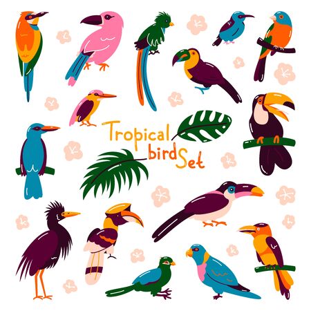 Set of birds. Bright exotic tropical birds. Macaw, Cockatoo, flamingo, toucan. Vector.のイラスト素材