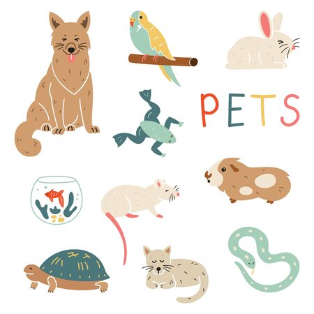 Pets character set for pet shop.のイラスト素材