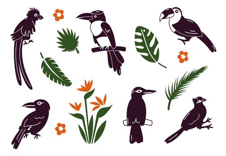 Set of birds. Bright exotic tropical birds. Macaw, Cockatoo, flamingo, toucan. Vector.のイラスト素材
