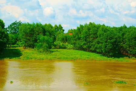 Small lawn next to the river flows through the villageの写真素材