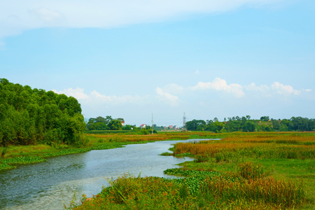 Tranquil scenery in the wetlands with a cloudy skyの写真素材