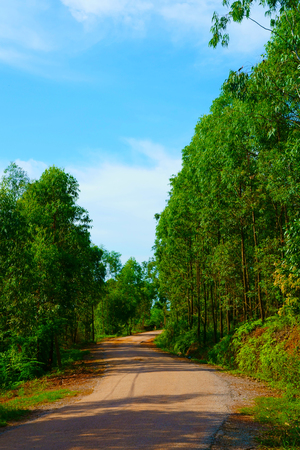 The road through the hillsの写真素材