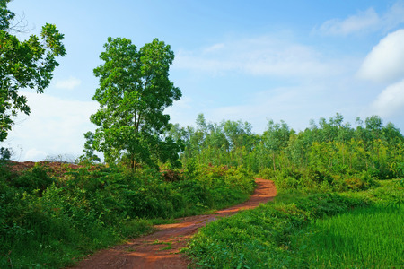 Sunshine and shade on the road through the hillsの写真素材