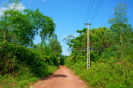 Small road through the hillsの写真素材