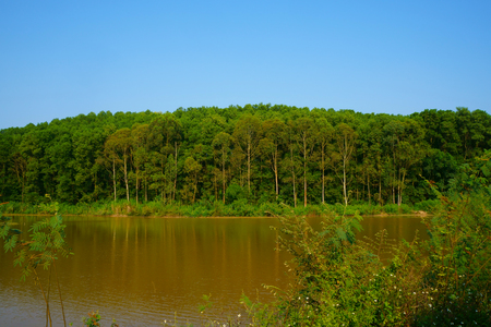 Lake and hill trees in the autumn afternoonの写真素材