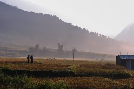 farmers out in the fields from dawnの写真素材