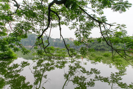 Tree silhouetted by the lakeの写真素材