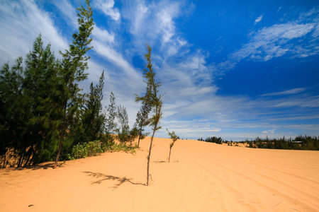 Sand hills in Phan Thiet-VietNamの写真素材