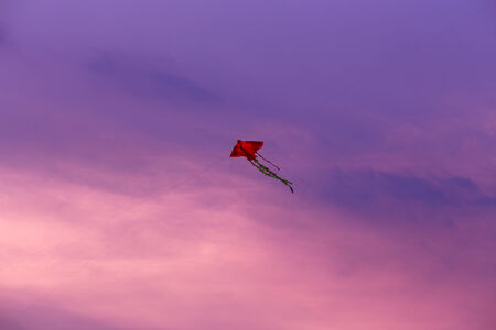 Kite with sunsetの写真素材
