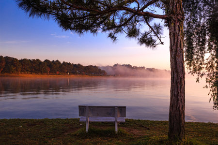 Morning on the lake tropicalの写真素材