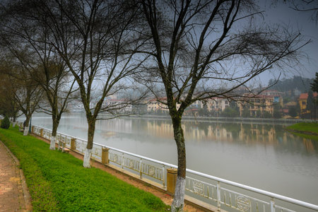 Morning on the lake tropicalの写真素材