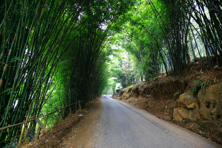 Road to the villageの写真素材