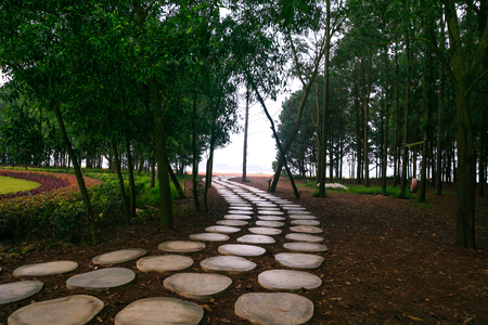 Walkway in resortの写真素材