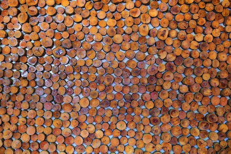 Wallpaper wall of logsの写真素材