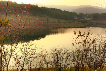 Afternoon tropical wilderness lake