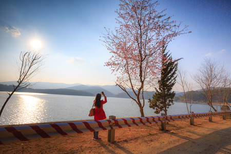 Cherry blossom parties lakeのeditorial素材