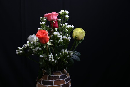 Vibrant Rose Bowlの写真素材