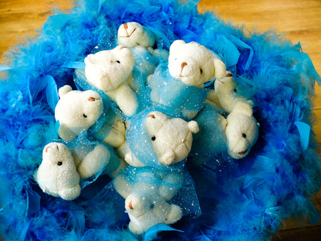 Nest stuffed toy puppyの写真素材