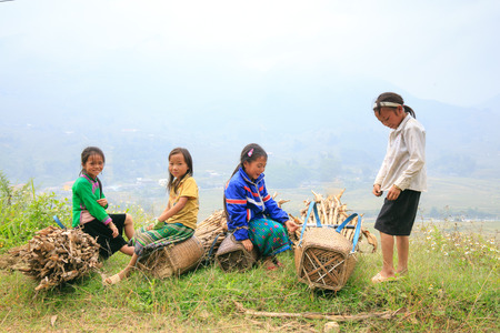 Sapa Vietnam October 12 2014: four little girls from ethnic Hmong resting on the road after collecting firewood in the forestのeditorial素材