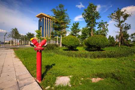 Water Fire Hydrant Red color on the green fieldのeditorial素材