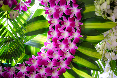purple orchid for a Funeral Ceremony wreath closeupの写真素材