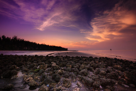 Dawn sunrise over beautiful rocky coastline landscape in cangio, Vietnam