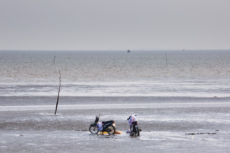 Cangio, Ho Chi Minh City, Vietnam - June 28, 2015 - Farmers are curious two motorcycle of catch clams, sea scallops Gio, HoChiMinh City, Vietnamのeditorial素材