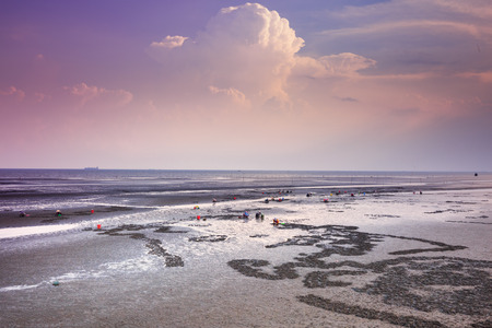Cangio, Ho Chi Minh City, Vietnam - June 28, 2015 - Farmers are going groping the catch clams, sea scallops Gio, HoChiMinh City, Vietnamのeditorial素材