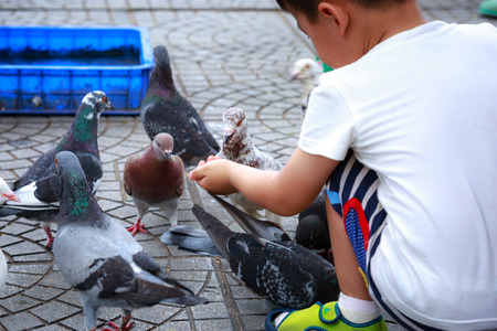 Hochiminh City, Vietnam - July 14, 2015: babie for feeding pigeons on the streets of Saigonのeditorial素材