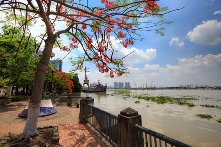 Hochiminh City, Vietnam - June 7, 2015: In summer, red Poinciana have blossomed on the bank of Saigon River. Over there the ships Into the harbor awaiting Repairedのeditorial素材