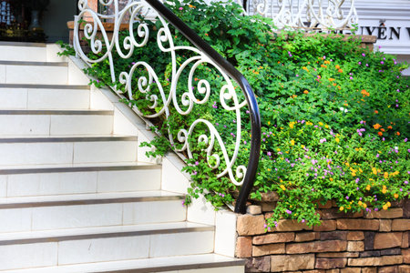 wildflowers in front villaの写真素材