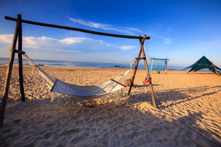 hammock at the tropical beachの写真素材