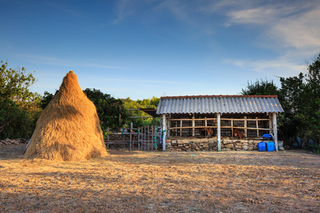 Vietnamese village, stack of straw, food reserve for cattle after crop, Vietnam country is Agriculture. Beautiful landscape, cowshed and make tranquil rural mountain, Viet Namの写真素材