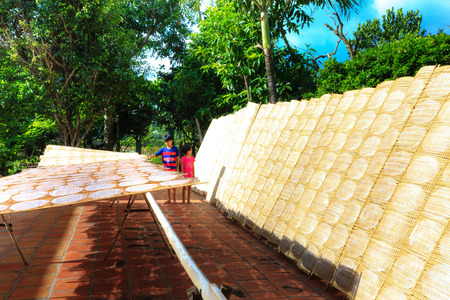 Cu Chi District, Hochiminh City, Vietnam - September 27, 2015: The Daily Activities of the People living in village m produces rice paper. This career has existed for a long timeのeditorial素材