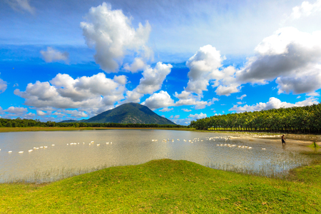 Tayninh province, Vietnam - September 27, 2015: a view of duck farm, next to Baden Beside large mountain lakeのeditorial素材