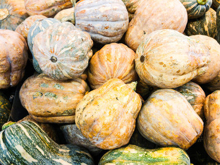 Pumpkins. sold at a farmer's market.の写真素材