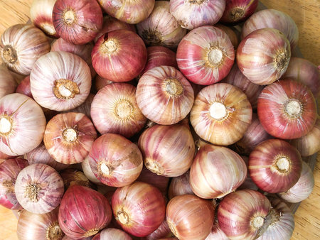 one-Clove Garlic