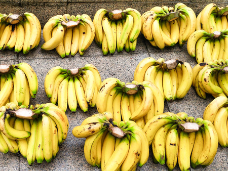Fresh bananas sold in the marketの写真素材