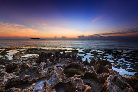 Volcanic rocks on the coast at dawnの写真素材