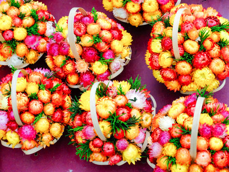 the dry flower basket or permanent dry Helichrysum bracteatumの写真素材